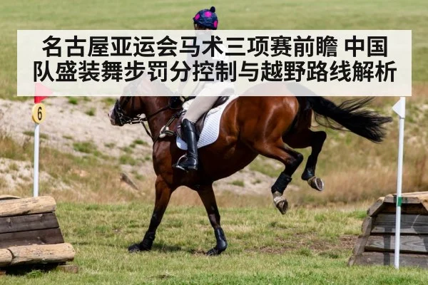 horse cross country jumping